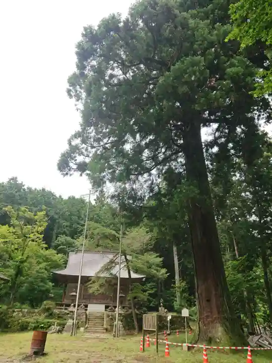 白山神社の自然