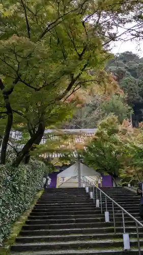 禅林寺（永観堂）(京都府)