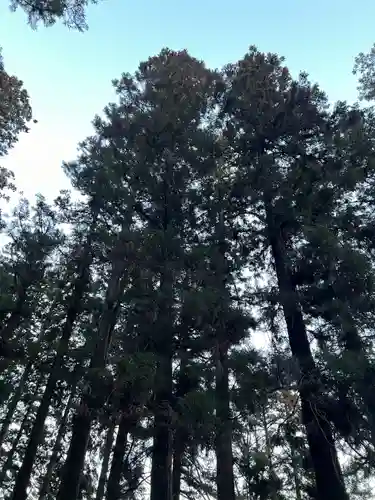 大宮温泉神社の自然