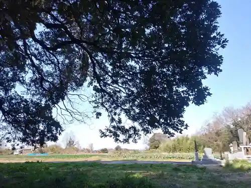 愛宕神社の自然