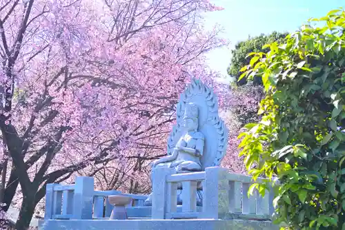 密藏院(埼玉県)