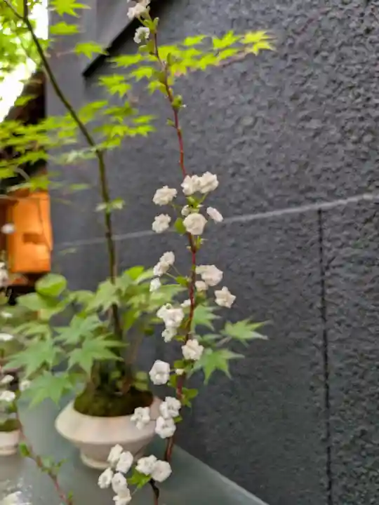 陽運寺(東京都)