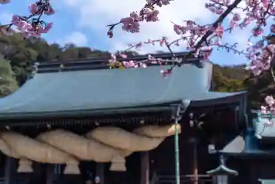 宮地嶽神社(福岡県)