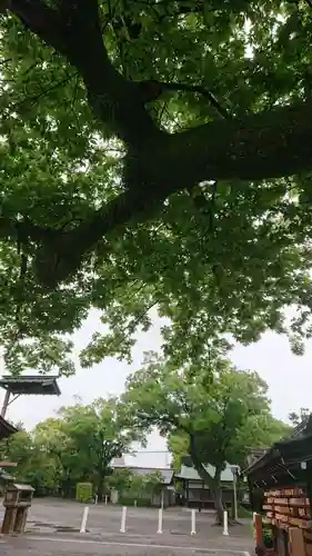 尾張大國霊神社（国府宮）の自然