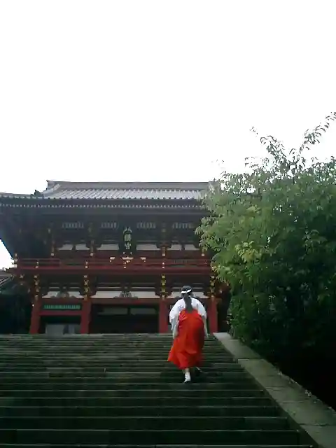 鶴岡八幡宮の景色