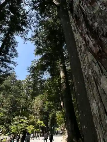 小國神社の{uncategorized: "未分類", other: "その他", undefined: "問題あり", building: "その他建物", grave: "お墓", sacred_gate: "鳥居", guardian: "狛犬", statue: "像", buddha: "仏像", history: "歴史", nature: "自然", garden: "庭園", animal: "動物", pagoda: "塔", temizu: "手水舎", mountain_gate: "山門・神門", sanctuary: "本殿・本堂", subordinate: "末社・摂社", art: "芸術", scenery: "景色", jizo: "地蔵", ema: "絵馬", goshuin: "御朱印", omikuji: "おみくじ", items: "授与品その他", amulet: "お守り", goshuincho: "御朱印帳", eats: "食事", festival: "お祭り", votive_dance: "神楽", shichigosan: "七五三参", wedding: "結婚式", experience: "体験その他", initially: "初詣", around: "周辺", anti_infection: "感染症対策"}