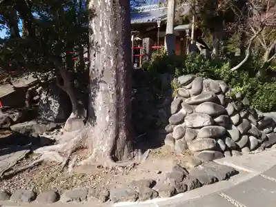 上中居諏訪神社のその他建物