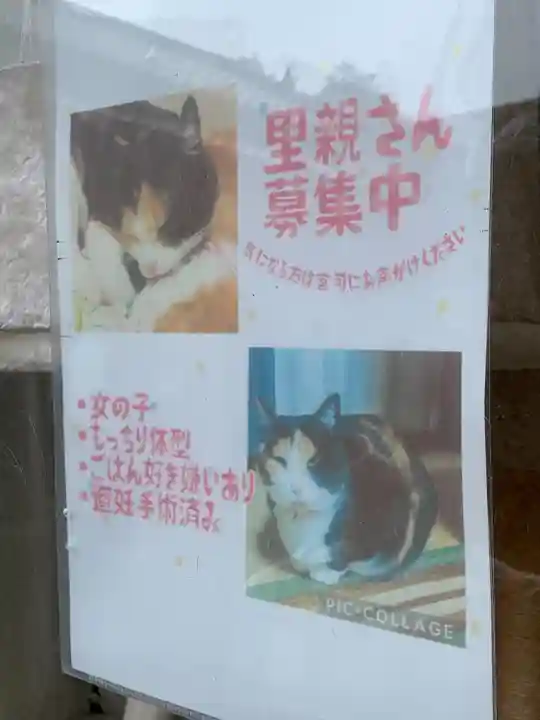熊野那智神社(宮城県)