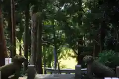 阿久津「田村神社」（郡山市阿久津町）旧社名：伊豆箱根三嶋三社の狛犬