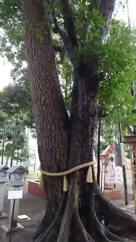 大宮・大原神社(千葉県)