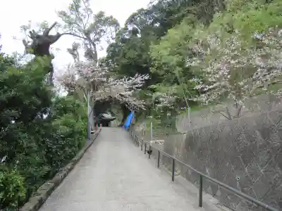 那古寺のその他建物