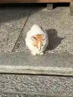 大江神社(大阪府)