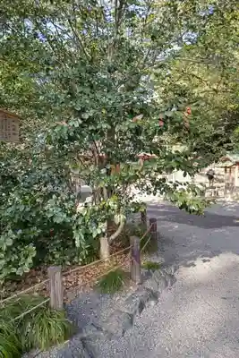 上知我麻神社(熱田神宮摂社)の自然