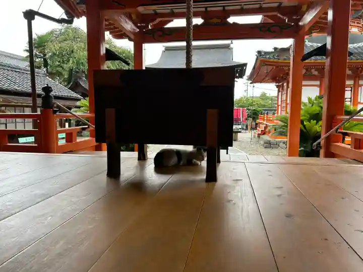 龍泉寺(愛知県)