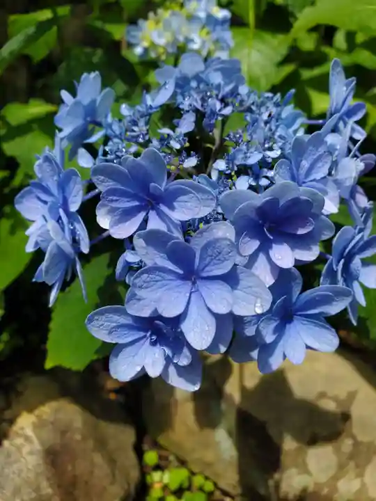 草薙神社の自然