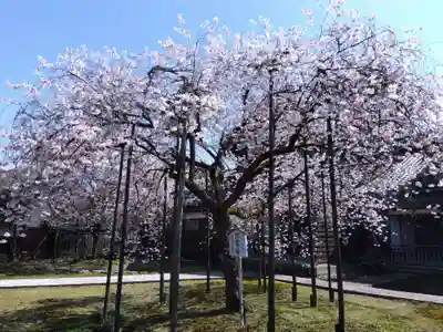 城福寺(福井県)
