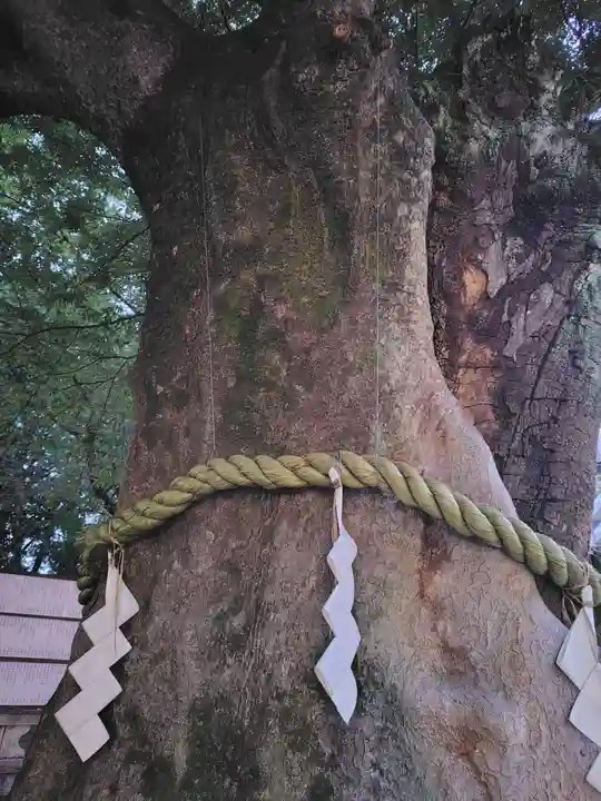 大國魂神社(東京都)