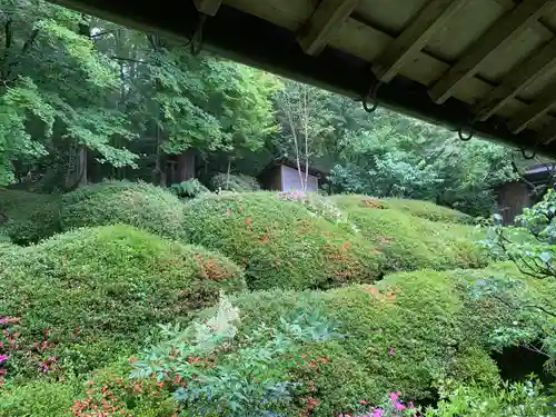 応聖寺の庭園