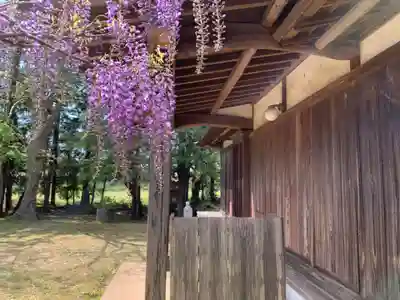 西光寺の本殿・本堂