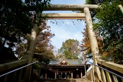 阿蘇神社の鳥居