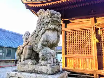 八幡社(上井ケ谷八幡社)の狛犬