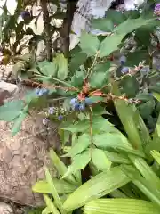 三輪神社の自然