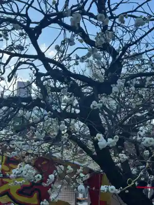 湯島天満宮の{uncategorized: "未分類", other: "その他", undefined: "問題あり", building: "その他建物", grave: "お墓", sacred_gate: "鳥居", guardian: "狛犬", statue: "像", buddha: "仏像", history: "歴史", nature: "自然", garden: "庭園", animal: "動物", pagoda: "塔", temizu: "手水舎", mountain_gate: "山門・神門", sanctuary: "本殿・本堂", subordinate: "末社・摂社", art: "芸術", scenery: "景色", jizo: "地蔵", ema: "絵馬", goshuin: "御朱印", omikuji: "おみくじ", items: "授与品その他", amulet: "お守り", goshuincho: "御朱印帳", eats: "食事", festival: "お祭り", votive_dance: "神楽", shichigosan: "七五三参", wedding: "結婚式", experience: "体験その他", initially: "初詣", around: "周辺", anti_infection: "感染症対策"}