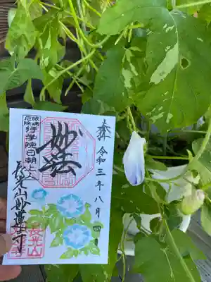 朝顔