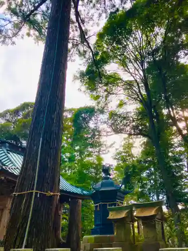 飯綱神社(愛宕神社奥社)(茨城県)