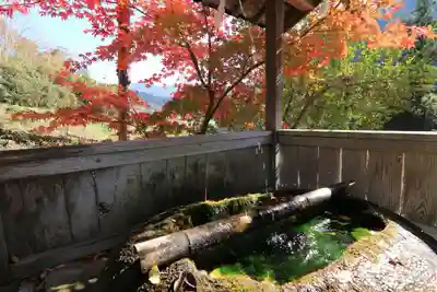 日枝神社の手水舎