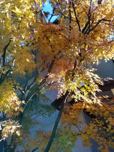 宝勝山　南藏院   蓮光寺の庭園