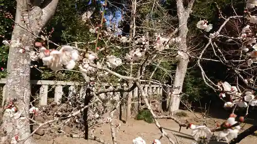 大洗磯前神社の庭園