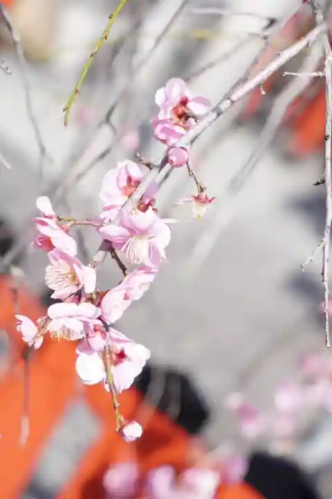 瀧宮神社(広島県)