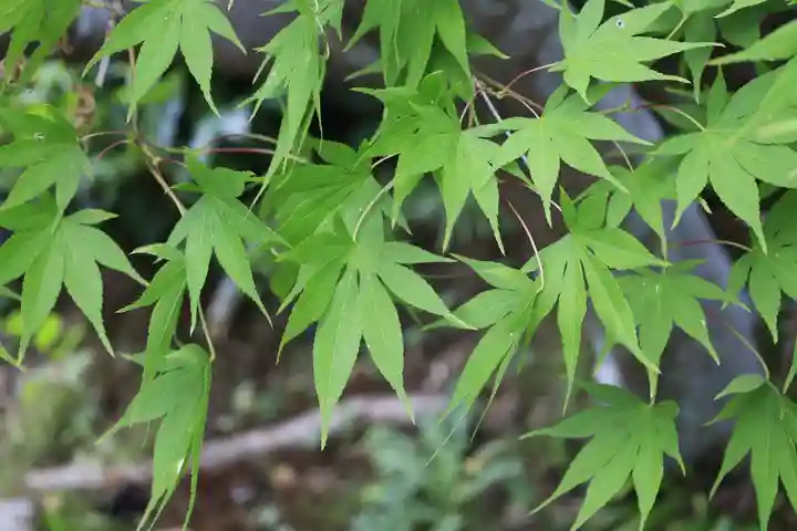 養徳院(京都府)