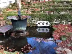 永源寺の庭園