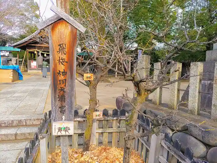 中山神明社の自然