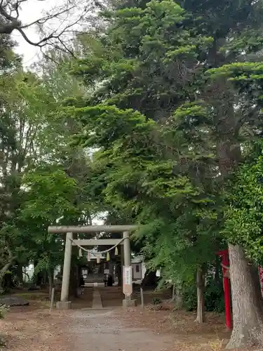 諏訪神社の鳥居