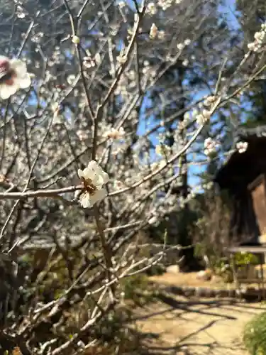 長楽寺(静岡県)