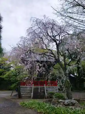 龍光寺(東京都)