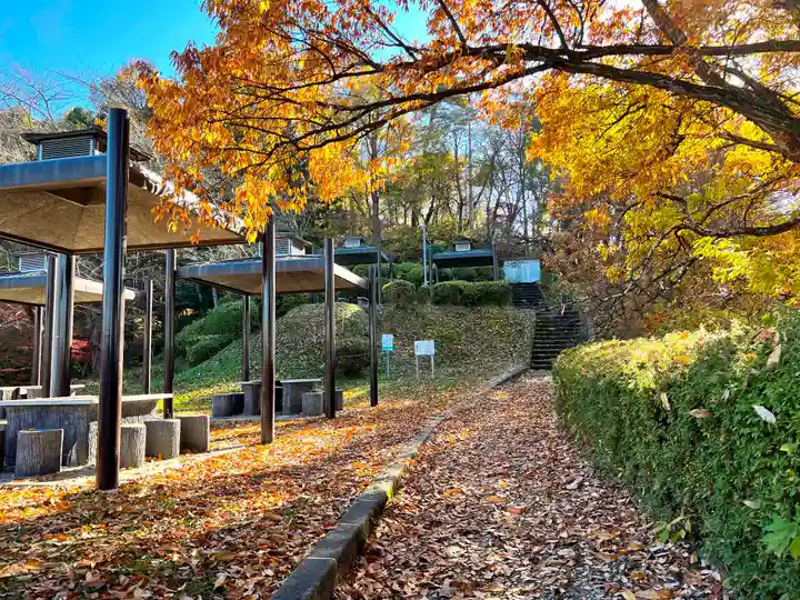 愛宕神社の自然