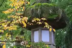 神炊館神社 ⁂奥州須賀川総鎮守⁂の景色