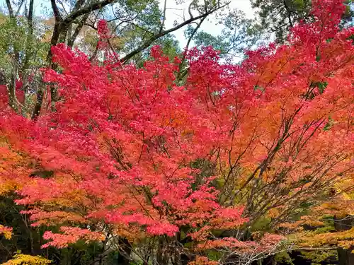 仁比山神社(佐賀県)