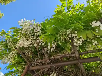 西院春日神社(京都府)