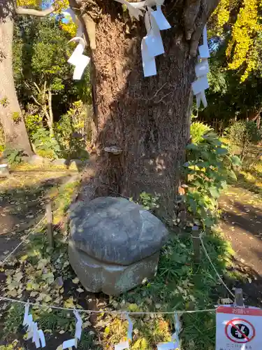 江島神社のその他建物