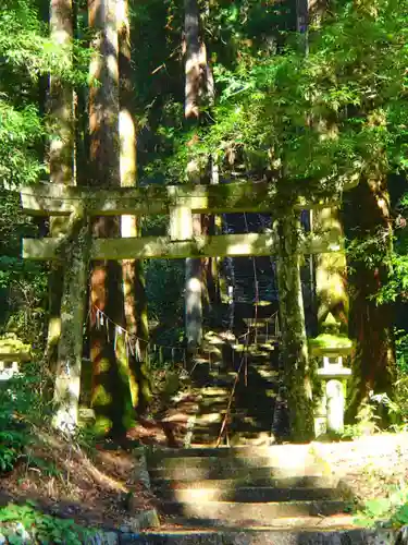 瀧神社の鳥居