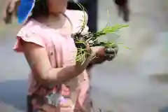 白鳥神社の体験その他