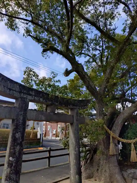 熊野原神社(佐賀県)