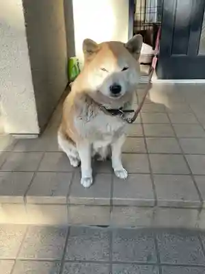 笠䅣稲荷神社(神奈川県)