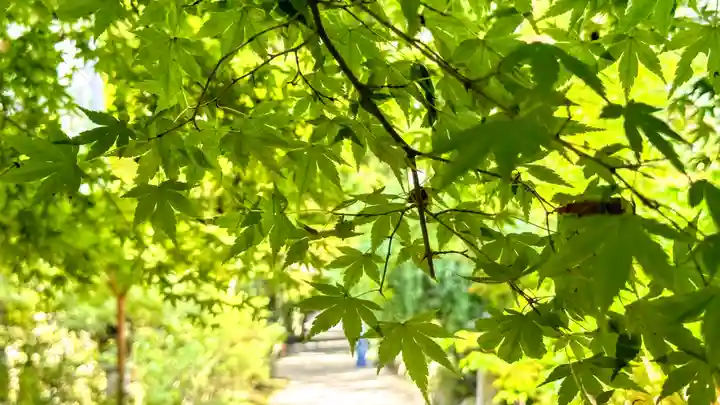 国宝 長寿寺(滋賀県)