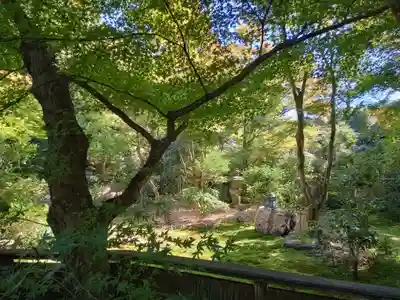 来迎院(京都府)